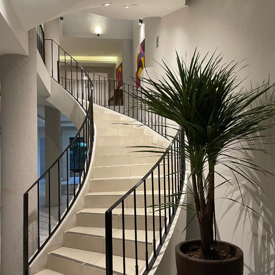 Hidalgo 119 - Terraza Y Suites 萨卡特卡斯 外观 照片
